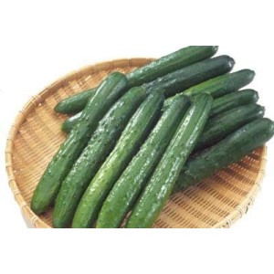PEPINO JAPONES 1KG